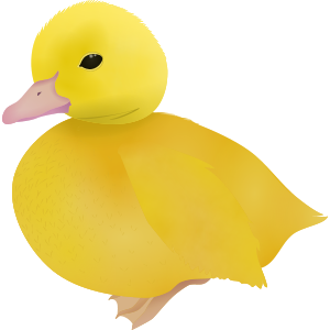 duckling